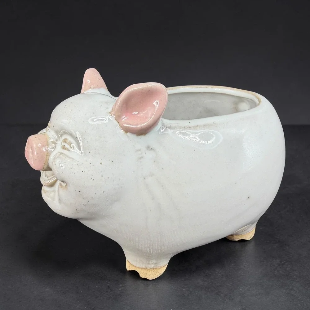 Smiling Ceramic Pig Planter White Pink Indoor Succulent Pot‎ Drainage Hole 6x4